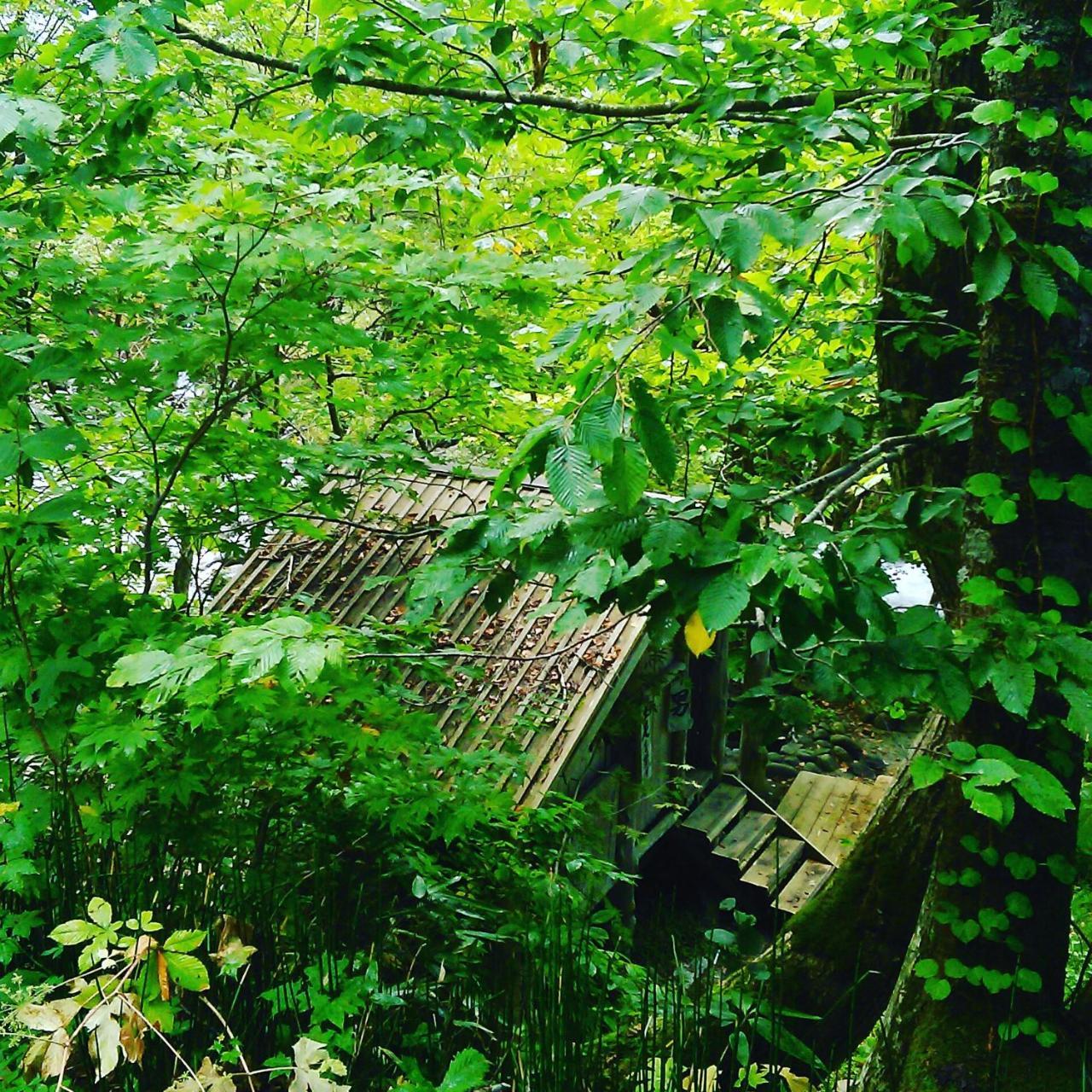 Nurukawa Onsen Ξενοδοχείο Hirakawa Εξωτερικό φωτογραφία